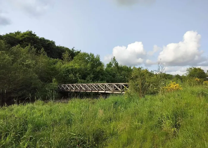 Scandinavian Lakeside Retreat-by Traum * Ansager